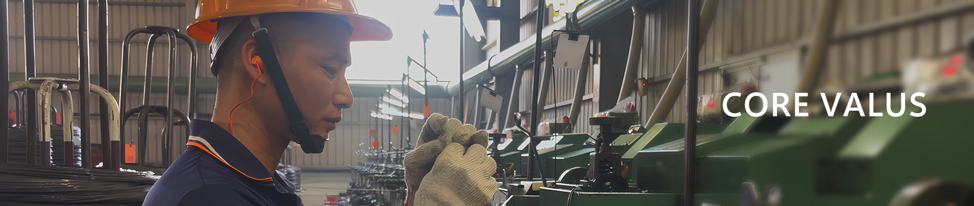 proimages/CORE VALUS.png